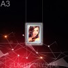 Крісталайт А3 на тросах 1-стор. INLIGHT CRYSTAL